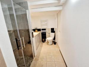 a bathroom with a toilet and a walk in shower at Gite Les Ptits Biscuits in Vittersbourg +2 photos