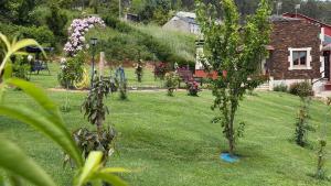 a yard with trees in the grass with a house at Casa do Lagar, Praia da Abrela in O Vicedo