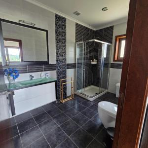 a bathroom with a shower and a sink and a toilet at Casa da Batoca - Rossas in Vieira do Minho +6 photos