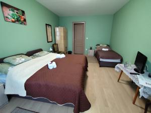 a hotel room with two beds and a television at Levendula Vendégház - Bezi in Bezi +83 photos