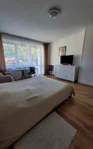 a bedroom with a large bed and a table at APARTAMENT U MARYSI in Krościenko +2 photos
