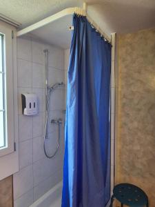 a shower with a blue shower curtain in a bathroom at Gemütliche Wohnung im Grünen in Herisau +17 photos