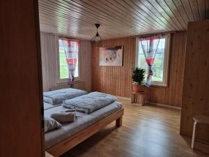 a bedroom with two beds and two windows at Gemütliche Wohnung im Grünen in Herisau