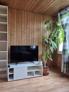 a living room with a flat screen tv on a wooden wall at Gemütliche Wohnung im Grünen in Herisau