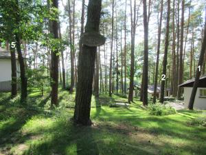 a tree with a sign on it in a forest at Feriendorf Mengshausen 1 in Niederaula