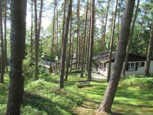 a house in the middle of a forest at Feriendorf Mengshausen 1 in Niederaula