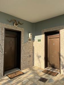 two brown doors in a room with green walls at Selim Guesthouse 2 in Lybeshë