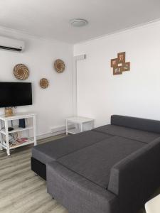 a bedroom with a bed and a flat screen tv at Sea, Sun and Wild Nature in Costa de Santo André