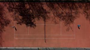two birds playing on a tennis court at Tilia Kúria - Adults only in Bózsva