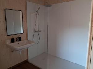 a bathroom with a sink and a mirror and a shower at écolodge Calendula in Leimbach
