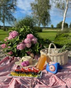 a picnic blanket with a basket of food and flowers at Kite Marina Sarbsk in Sarbsk
