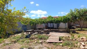 a backyard with a picnic table and a tree at Espaço Luz & natureza in Juazeiro do Norte
