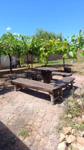a group of picnic tables in a park with a tree at Espaço Luz & natureza in Juazeiro do Norte