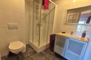 a bathroom with a shower and a toilet and a sink at Le Tilleul de Ray in Ray-sur-Saône +37 photos