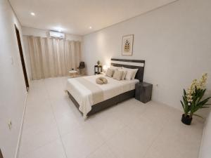 a bedroom with a large bed in a room at Amplio alojamiento en el centro de Asunción in Asunción