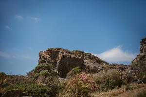 a mountain with pink flowers in front of it at The Revery, Elafonisi - Member of Leading Hotels of the World in Livadia