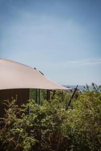 a white umbrella sitting on top of some trees at The Revery, Elafonisi - Member of Leading Hotels of the World in Livadia