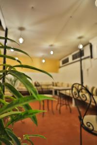 a room with tables and chairs and a plant at Riad Zayna Fes in Fez