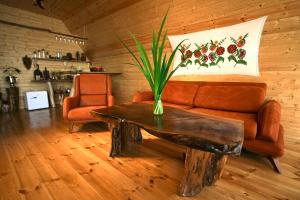 a living room with a couch and a table with a plant at Shavsheti view Cottage in Didachara