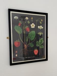 a picture of a plant with strawberries and flowers at Hawtհorn Guestհouse in Cambridge