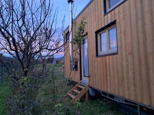 a tiny house with a window on the side of it at Tiny Mélisse in Leimbach