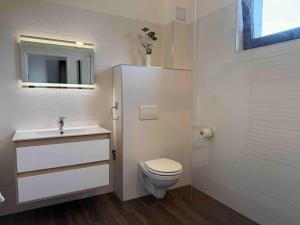 a bathroom with a toilet and a sink and a mirror at Apartmán Sebina s vinným sklípkem in Drnholec +13 photos