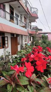 a bunch of red flowers in front of a building at Mist N Mountain in Kurseong