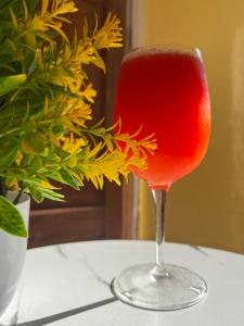 a red drink in a wine glass on a table at Casa Malu in Morote