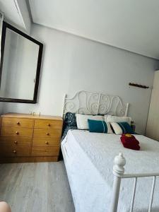a bedroom with a bed and a dresser and a mirror at Espaciosa y Luminosa in San Sebastián