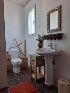 a bathroom with a sink and a toilet and a mirror at Chambres D'hôtes La Marouette in Hiers-Brouage