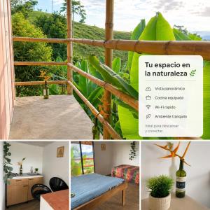 a collage of photos with a room with a plant at ECOHostal Las Hamacas Rincon Del Árbol in Villamaría
