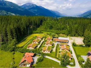 an aerial view of a house in the mountains at Zattach 57 in Lake Pressegg