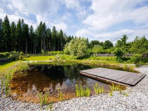 a small pond with a wooden dock in the middle at Siwitz 55 in Lake Pressegg