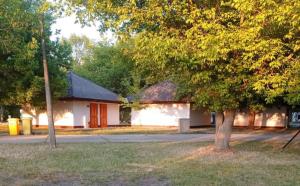 a white house with a tree in front of it at Túrkeve Lakó in Túrkeve