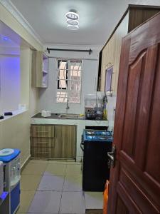 a kitchen with a stove and a sink and a door at Allan BnB HomaBay in Homa Bay