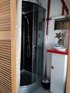 a shower with a glass door in a bathroom at Chambre en Havre de paix in Panazol