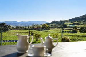 two white vases on a table with a view of a vineyard at Apartamentos La Gloria in Santillana del Mar +79 photos