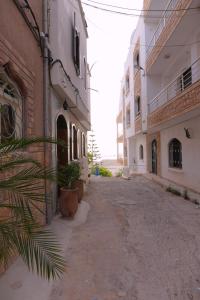 an alley between two buildings with a palm tree at Tamraght Ocean View in Tamraght Ouzdar