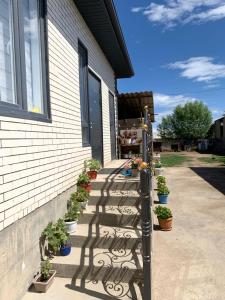 a group of potted plants on the side of a building at Guest House Eltin in Bokonbayevo +29 photos