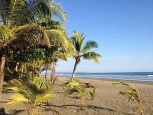 a sandy beach with palm trees and the ocean at Casa Debut Surf Place 2 in Parrita