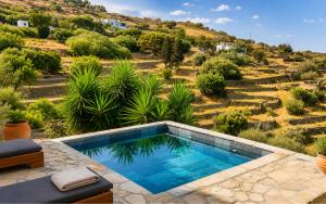 a swimming pool in a yard with a hill at Garden Residence Andros with Sea View & Pool in Gavrio