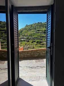 a view from a door looking out at a vineyard at La Perla Marina in Manarola