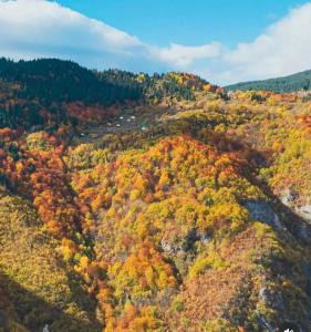 an aerial view of a forest with autumn foliage at Djedova nova kuca in Žabljak