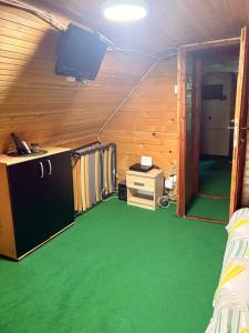 a room with a green floor and a tv at Riverside Cabin in Železnička Stanica Ovčar Banja