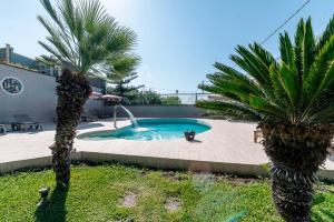 a cat sitting next to a swimming pool with two palm trees at HOLIDAYS ALBA in Catania