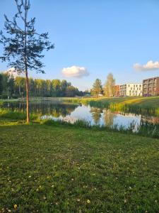 a lake in a park with a tree and a building at Karaliauciaus Apartment in Vilnius