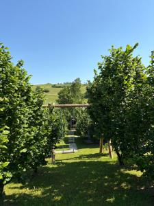 Blick auf einen Garten mit Bäumen und einer Schaukel in der Unterkunft Vikendica Harbaš in Cazin + 10 Fotos