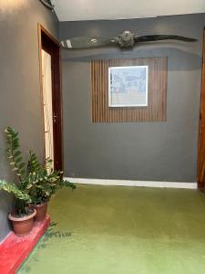 a room with green floors and a window and plants at Quarto Selva in Itaquatiara