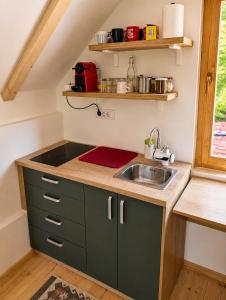 a kitchen with green cabinets and a sink at Etno kuća Radonjić - Family Retreat & Spa in Guča
