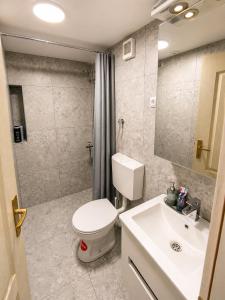 a bathroom with a toilet and a sink and a shower at Etno kuća Radonjić - Family Retreat & Spa in Guča +30 photos